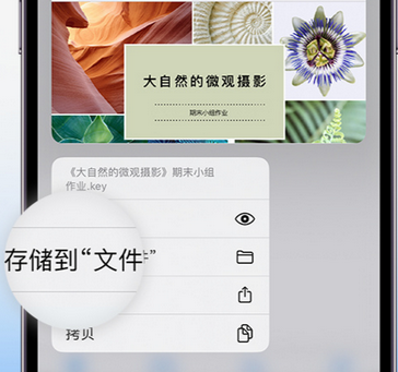 巫山apple维修中心分享iPhone文件应用中存储和找到下载文件