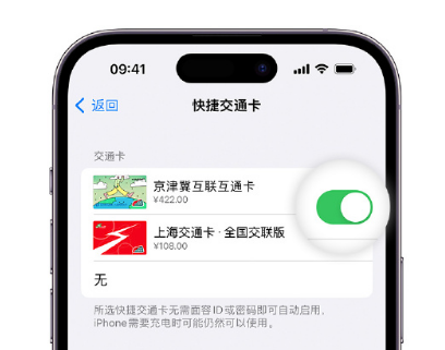 巫山apple维修点分享iPhone上更换Apple Pay快捷交通卡手绘卡面 