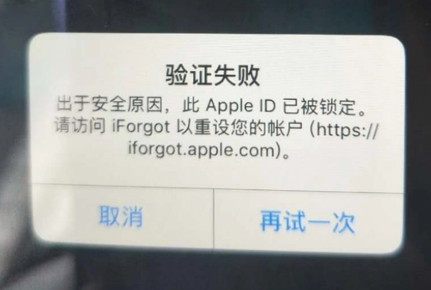 巫山iPhone维修分享iPhone上正常登录或使用AppleID怎么办 