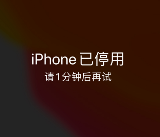 巫山苹果手机维修分享:iPhone 显示“不可用”或“已停用”怎么办？还能保留数据吗？ 