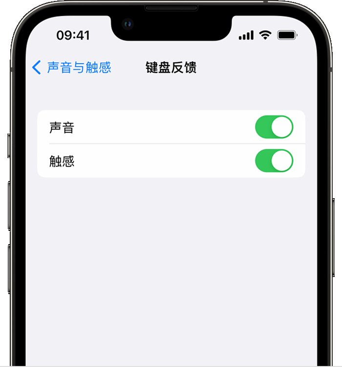 巫山苹果14维修分享iPhone 14 系列机型如何开启键盘声音或触感反馈 