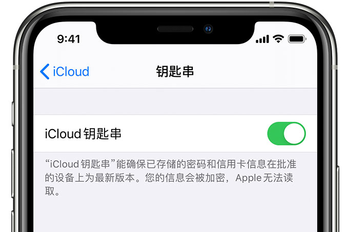 巫山苹果手机维修分享在 iPhone 上开启 iCloud 钥匙串之后会储存哪些信息 