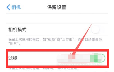 巫山苹果13维修分享iPhone13拍照有绿点是怎么回事 