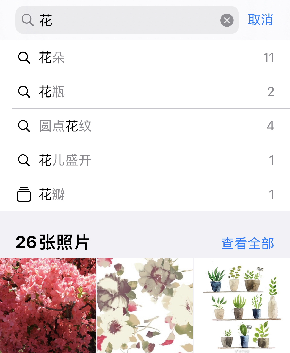 巫山苹果手机维修分享iPhone 小技巧 