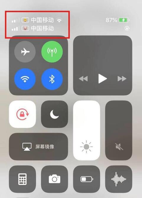 巫山苹果手机维修分享为 iPhone 12 双卡设置标签 